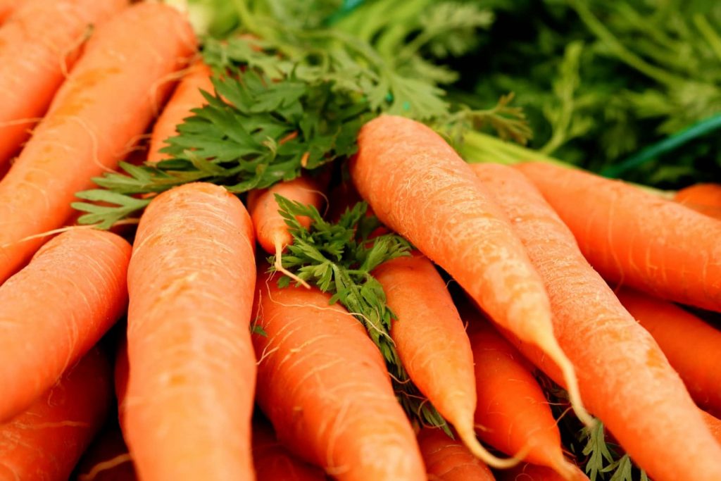 Les carottes bio pour extraction