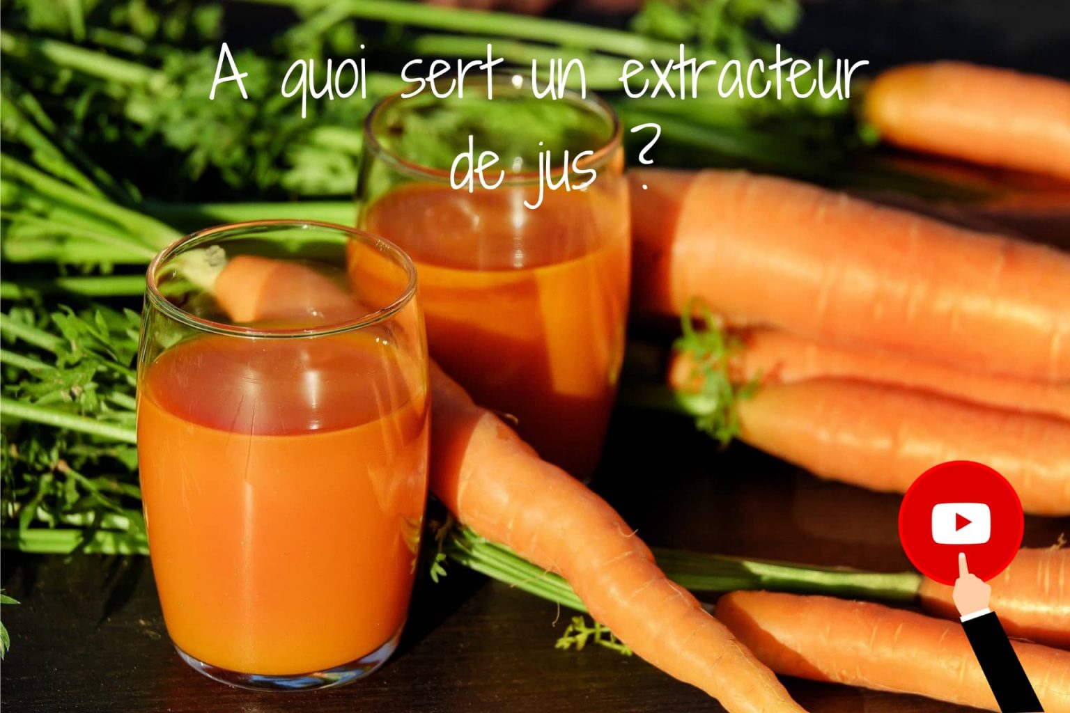 Différence entre extracteur de jus et centrifugeuse mimitricot — free download