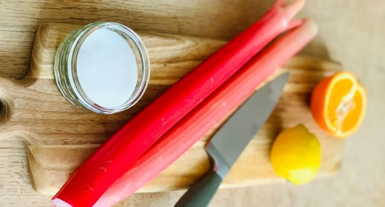 recette compote de rhubarbe présentation